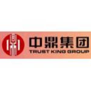 中鼎控股集團有限公司