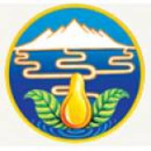 公司logo