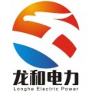 安徽龍和電力集團有限公司