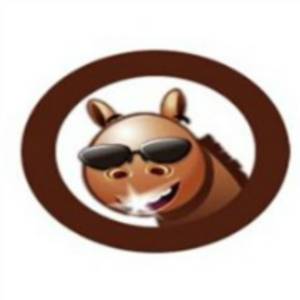 湖北小馬過河青少年足球俱樂部有限公司