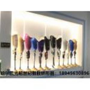 哈爾濱市光明世紀假肢矯形器有限公司