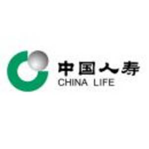 中国人寿保险-开yun-体育官网入口登陆-正版App Store长沙市分公司标志