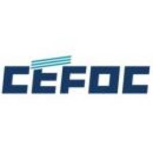 中國電子系統工程第四建設有限公司logo