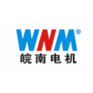 安徽皖南電機(jī)股份有限公司