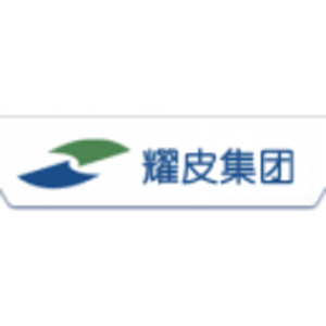 上海耀皮康桥汽车玻璃有限公司标志