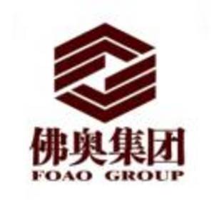 佛山市順德佛奧集團有限公司