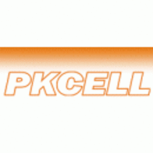 深圳市比苛電池有限公司