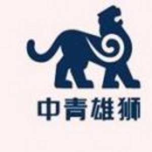 公司logo