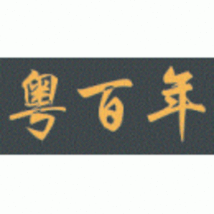 粵百年投資控股有限公司