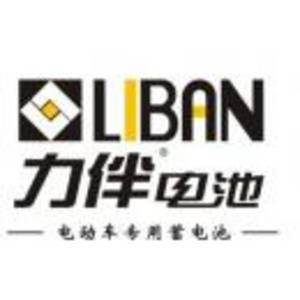 浙江力伴能源科技有限公司