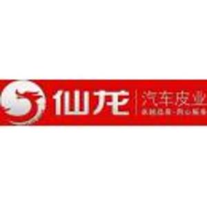 江門市仙龍汽車皮具有限公司