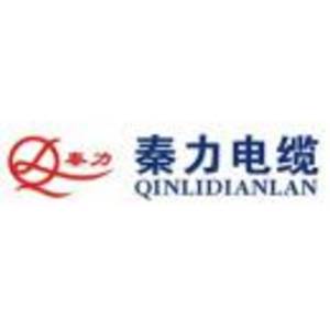 安徽泰德光伏股份有限公司