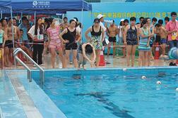 挥动激情的水花畅游青春的梦想——新宝电器2013年员工夏季游泳比赛