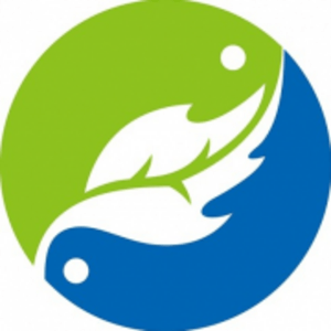 济南新绿药 总监助理 工资