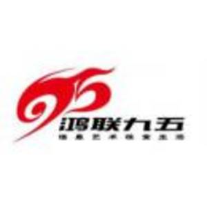 河北鸿联九五现场管理怎么样(工资待遇要求和最新招聘) - 职友集