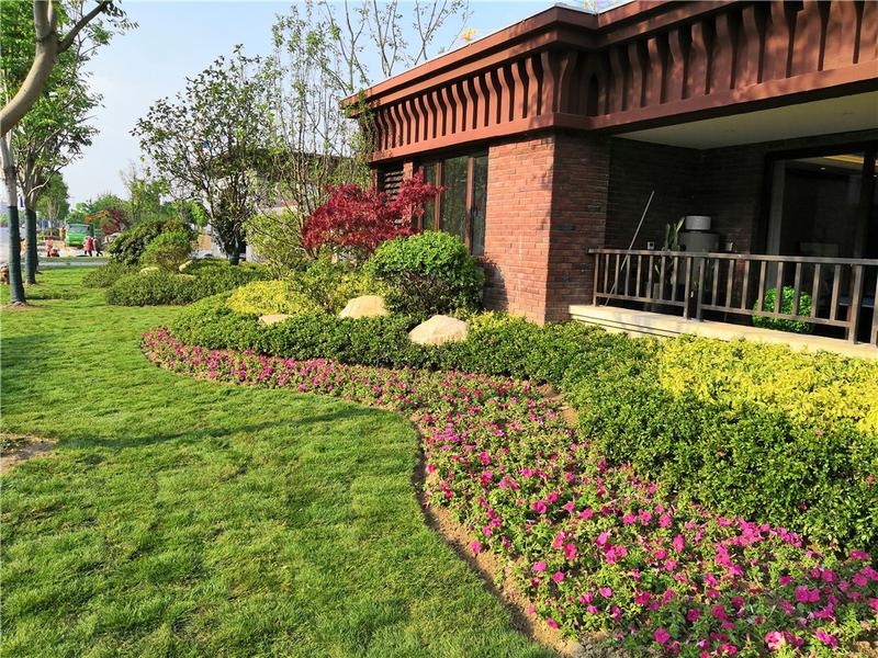 南通海珠园林有限公司员工上传的样板区景观绿化照片